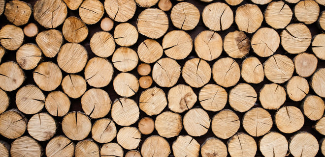 В Украине появился биржевой индекс древесины - Фото