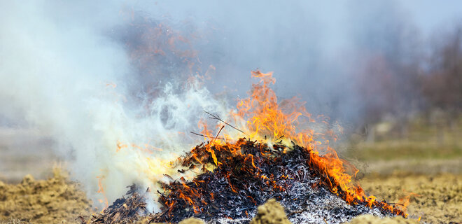 Штраф до 21 тис. грн. Українцям нагадали про заборону спалювати суху траву - Фото